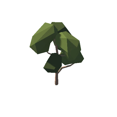 Tree Type4 03